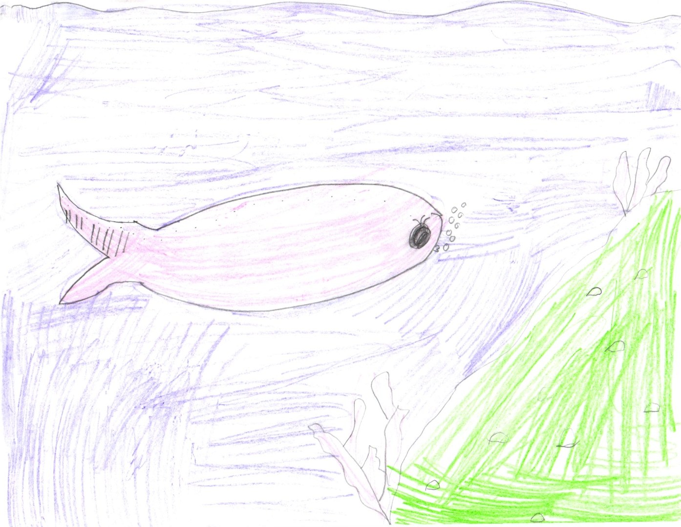 A colored-pencil drawing of a large pink fish shown in profile, swimming to the right through purple-and-lavender water. The fish has a rounded body, a single fanned tail on the left, a small side fin, and a dark round eye with a small trail of bubbles rising in front of its mouth. In the lower-right corner, tall vertical green seaweed grows up from a bed of small round pebbles along the seafloor. The whole background is filled with horizontal purple strokes suggesting water.
