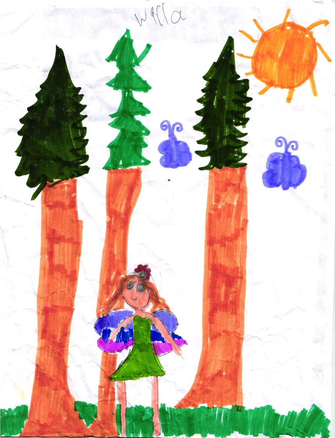 A marker drawing on white paper. Three tall pine trees stand across the page, each with a dark green pointed canopy and a bright orange trunk. In the foreground, a fairy stands on a strip of green grass between two of the trunks: she has long reddish hair with a small flower on top, big round eyes, a small smile, a short green dress, and large butterfly-style wings colored purple with a magenta-pink lower edge. In the sky above the trees, a big orange sun with rays radiates on the upper right and two small purple butterflies hover between the trees. The name “Willa” is written by hand near the top of the page.